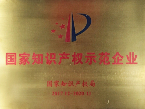 国家知识产权示范企业